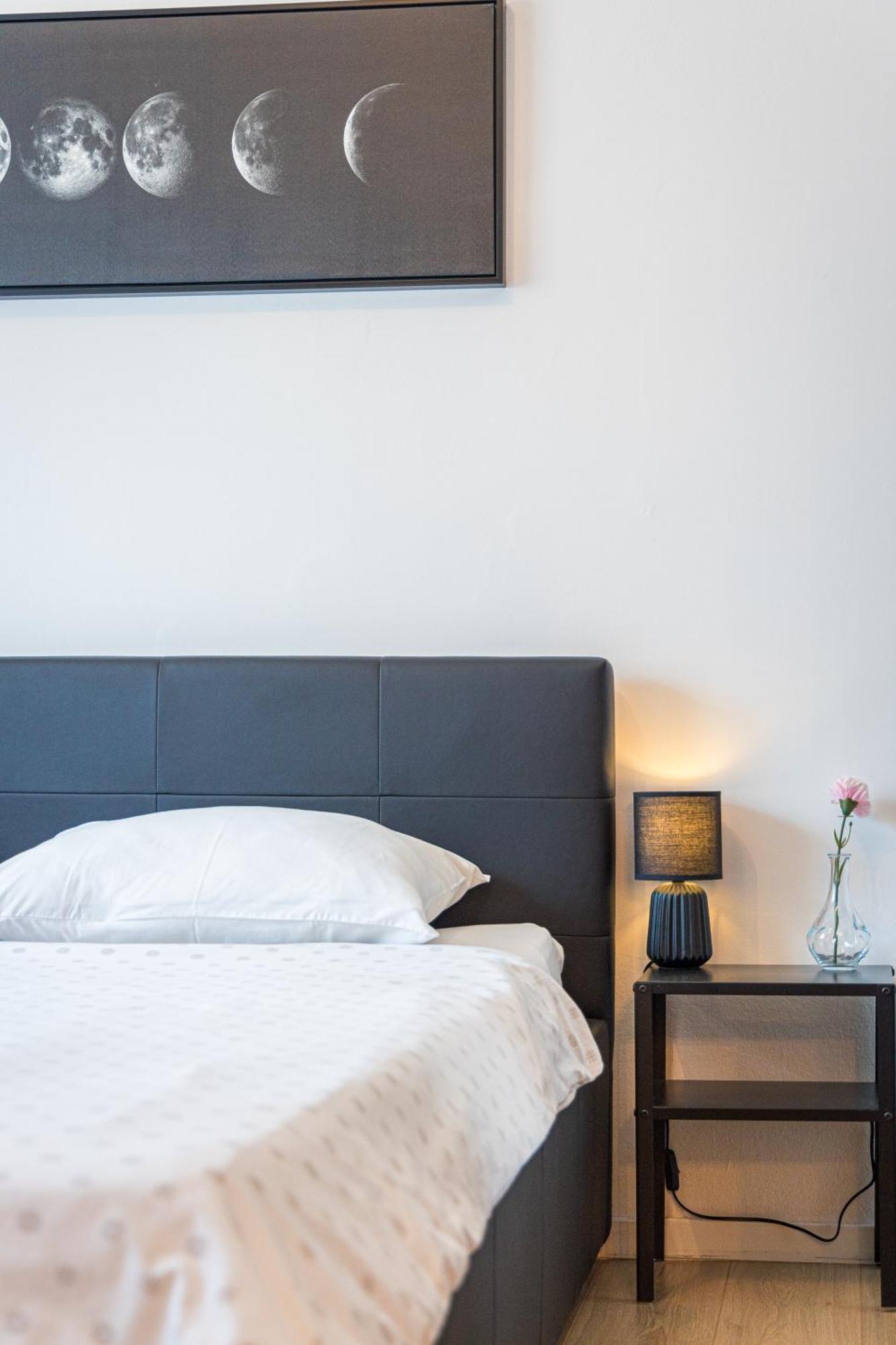 Apartment Oasis New *